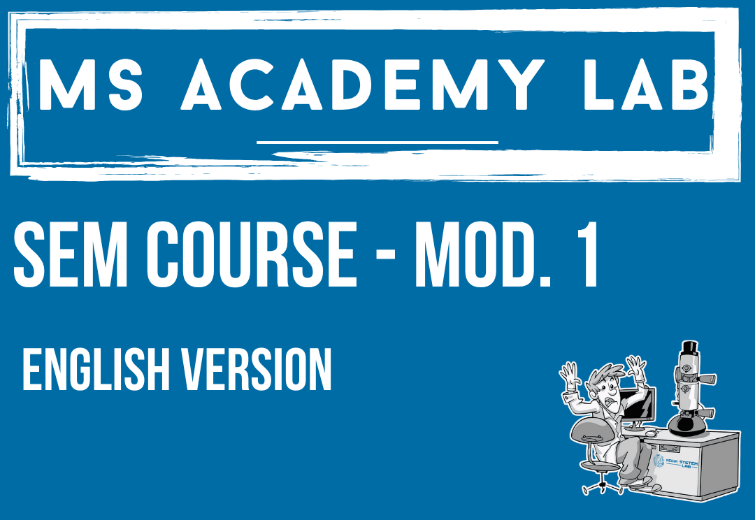 Professional training SEM course module 1